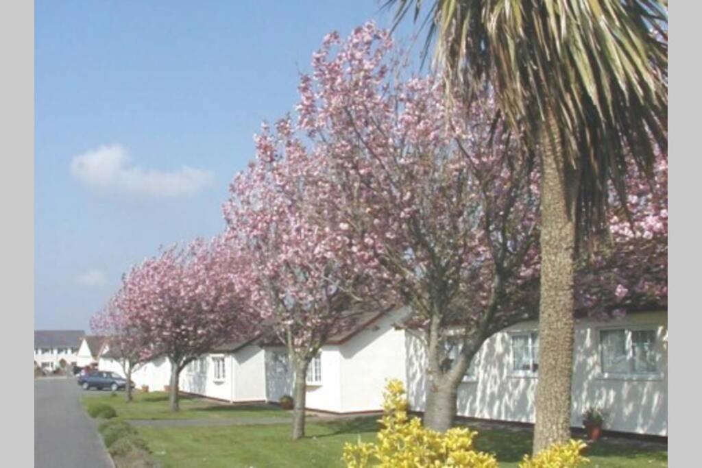 Perfect For The Family And Beaches - Gower Cwtch Villa Swansea Eksteriør bilde
