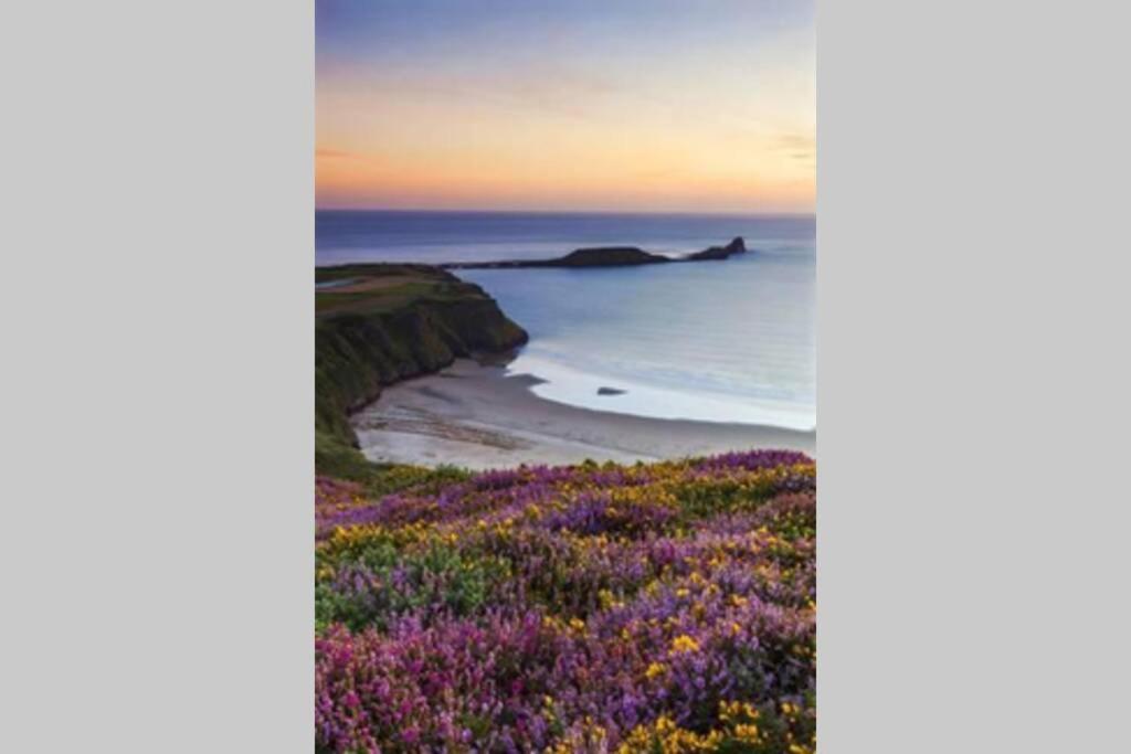 Perfect For The Family And Beaches - Gower Cwtch Villa Swansea Eksteriør bilde